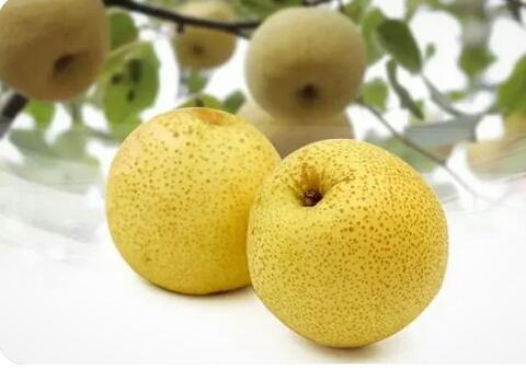 梨 1KG