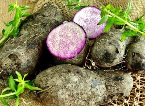 紫山药 1Kg