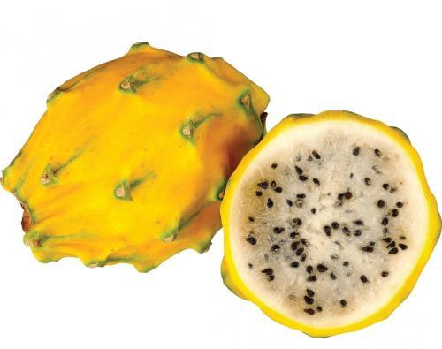 麒麟果 黄火龙果 1个