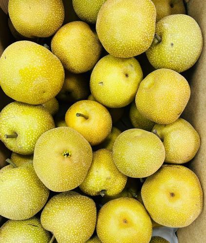 水果梨鸭梨风水梨 1kg