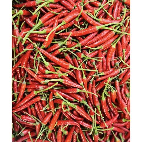 新鲜小米辣 100g