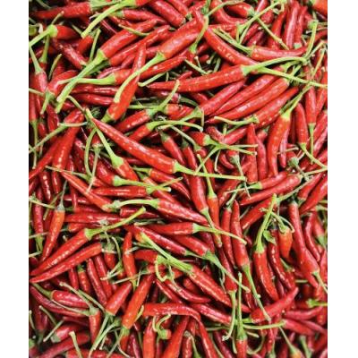 新鲜小米辣 100g