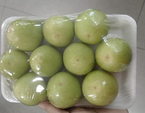 中国 大荔冬枣